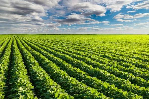 Agriculture Banner